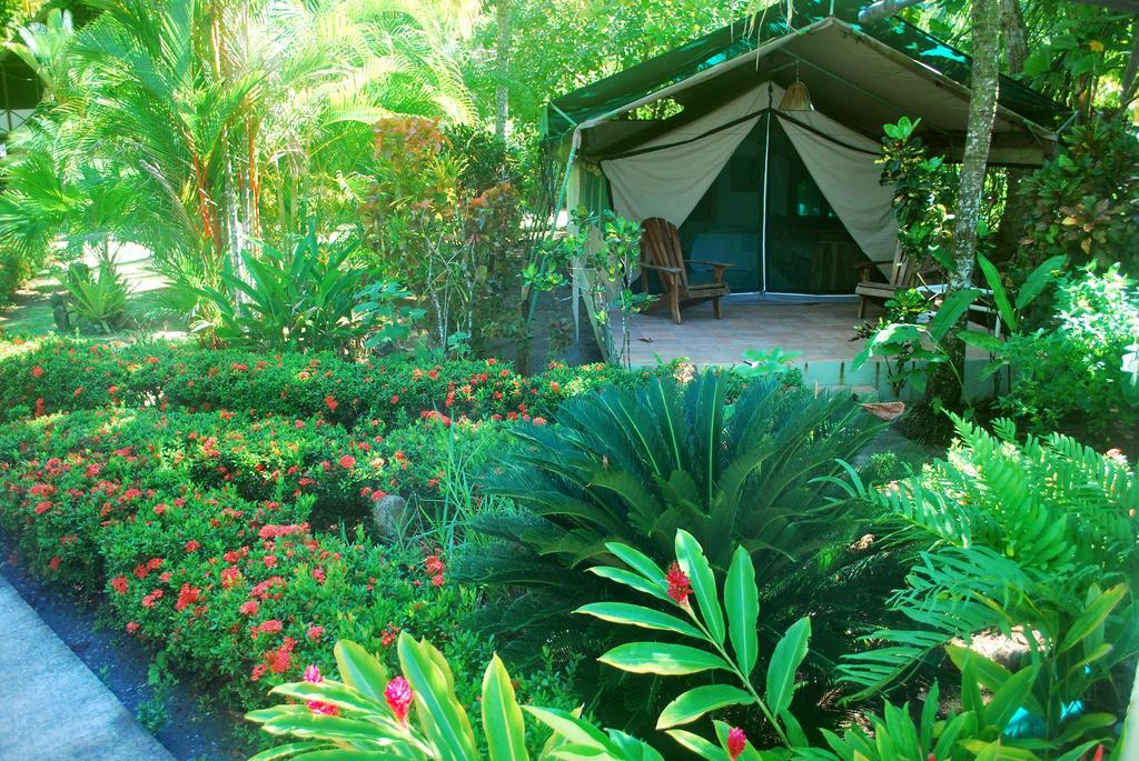 Rafiki Beach Camp Matapalo  Zimmer foto