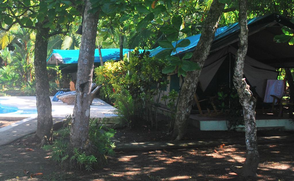 Rafiki Beach Camp Matapalo  Zimmer foto