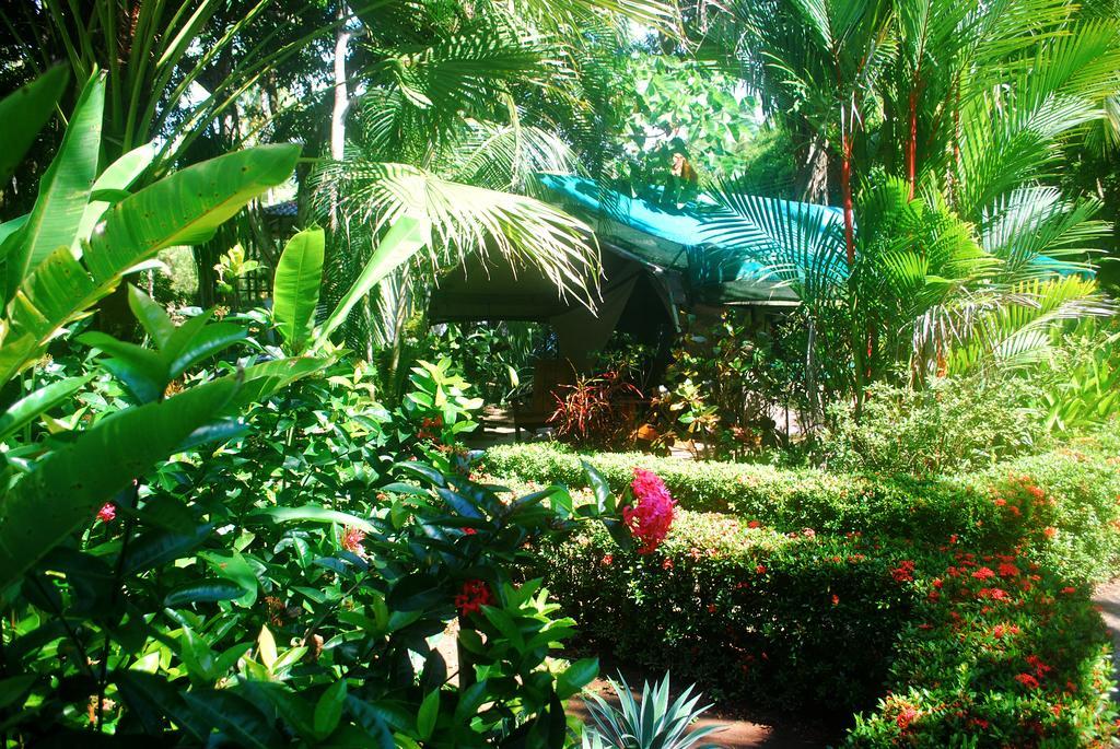 Rafiki Beach Camp Matapalo  Zimmer foto